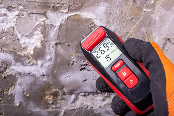Best Professional Mold Removal  in Arlington, TX
