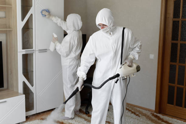 Mold Testing and Removal in Arlington, TX