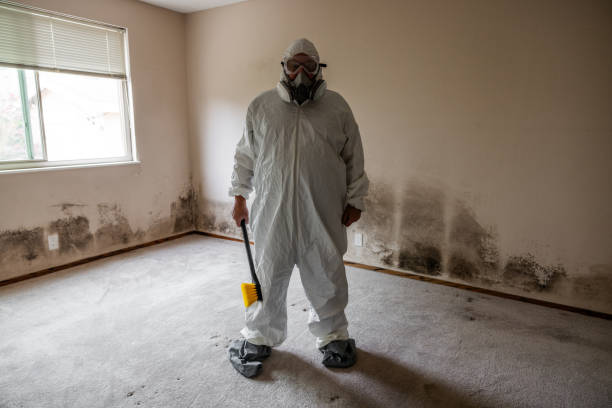 Trusted Arlington, TX Mold Removal Experts