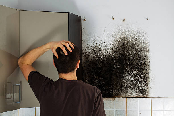Best Crawl Space Mold Removal  in Arlington, TX